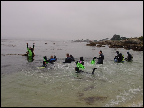 Kids 1st Dive 010.jpg