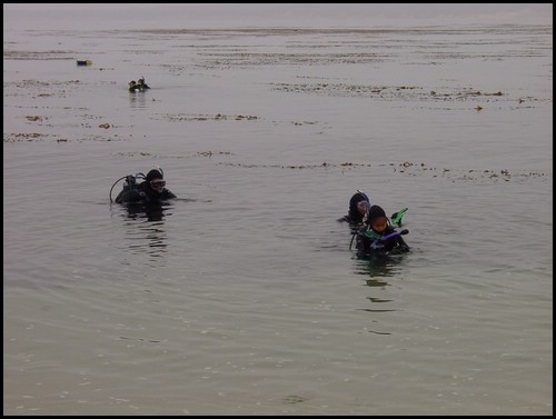 Kids 1st Dive 031.jpg