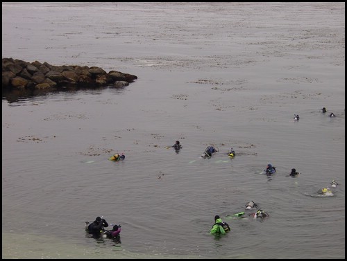Kids 1st Dive 033.jpg