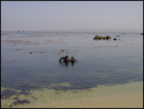 Kids 1st Dive 037.jpg