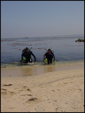 Kids 1st Dive 039.jpg