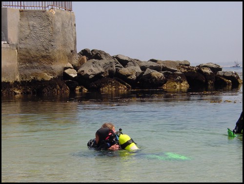 Kids 1st Dive 042.jpg