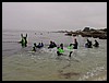 Kids 1st Dive 010.jpg