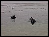 Kids 1st Dive 031.jpg