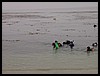 Kids 1st Dive 032.jpg