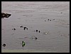 Kids 1st Dive 034.jpg