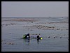 Kids 1st Dive 035.jpg