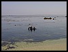 Kids 1st Dive 037.jpg