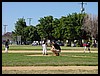 Mike's Baseball 5-11-02 007.jpg