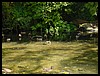 DSC00013.JPG