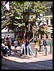 DSC00014.JPG