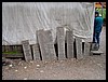 DSC00080.JPG