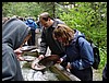 DSC00087.JPG