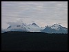 DSC00101.JPG