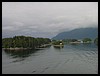 DSC00130.JPG
