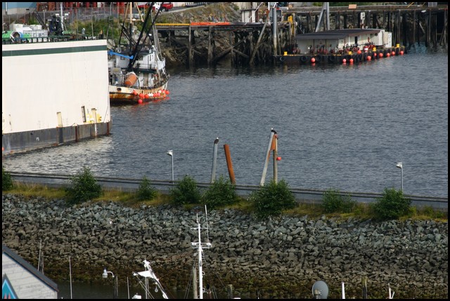 Alaska 2007-144.JPG