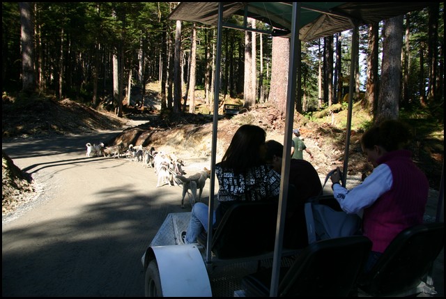 Alaska 2007-176.JPG
