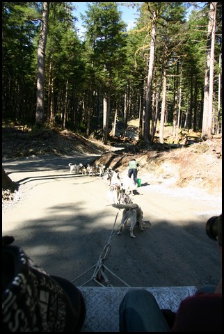 Alaska 2007-177.JPG