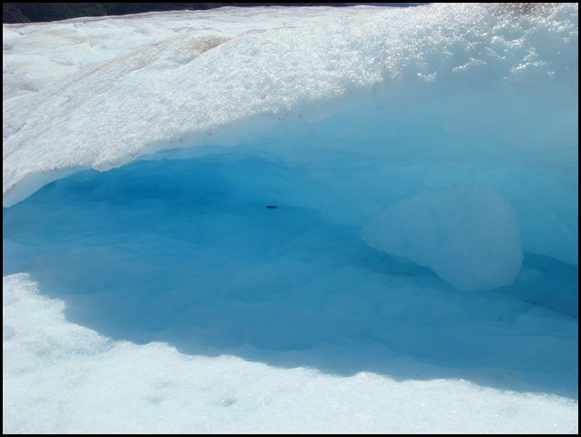 Alaska 2007-246.JPG