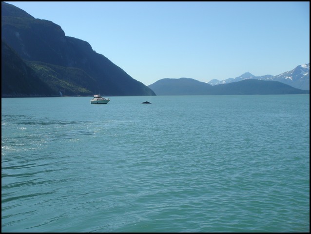 Alaska 2007-324.JPG