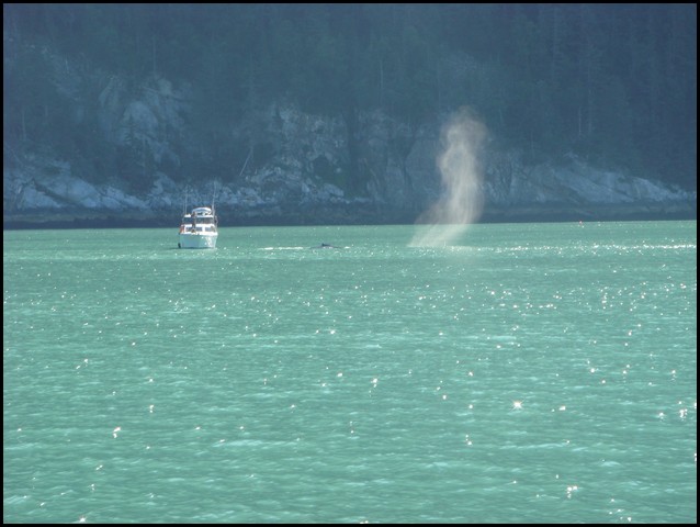 Alaska 2007-325.JPG
