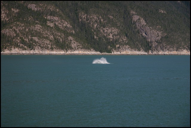 Alaska 2007-326.JPG
