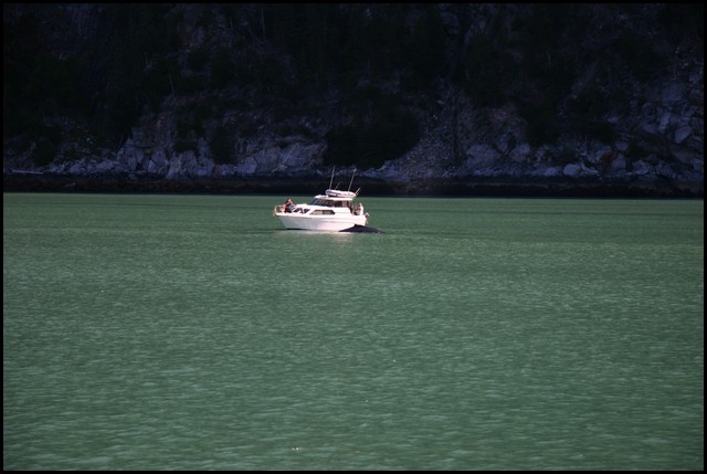 Alaska 2007-329.JPG