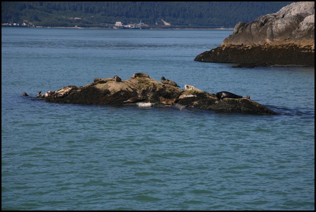 Alaska 2007-338.JPG
