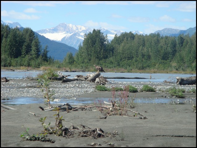 Alaska 2007-349.JPG