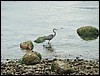 Alaska 2007-010.JPG