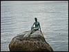 Alaska 2007-014.JPG