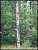 Alaska 2007-016.JPG