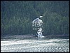 Alaska 2007-069.JPG