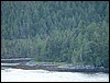 Alaska 2007-070.JPG