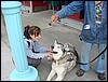 Alaska 2007-113.JPG