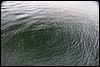 Alaska 2007-121.JPG