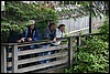 Alaska 2007-130.JPG