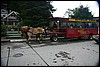 Alaska 2007-131.JPG