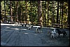 Alaska 2007-166.JPG