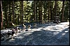 Alaska 2007-178.JPG