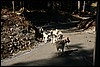 Alaska 2007-181.JPG