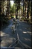 Alaska 2007-182.JPG