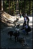 Alaska 2007-187.JPG