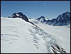 Alaska 2007-209.JPG