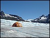 Alaska 2007-222.JPG