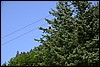 Alaska 2007-271.JPG
