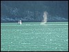 Alaska 2007-325.JPG