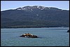 Alaska 2007-337.JPG