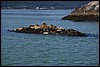 Alaska 2007-338.JPG