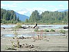 Alaska 2007-348.JPG